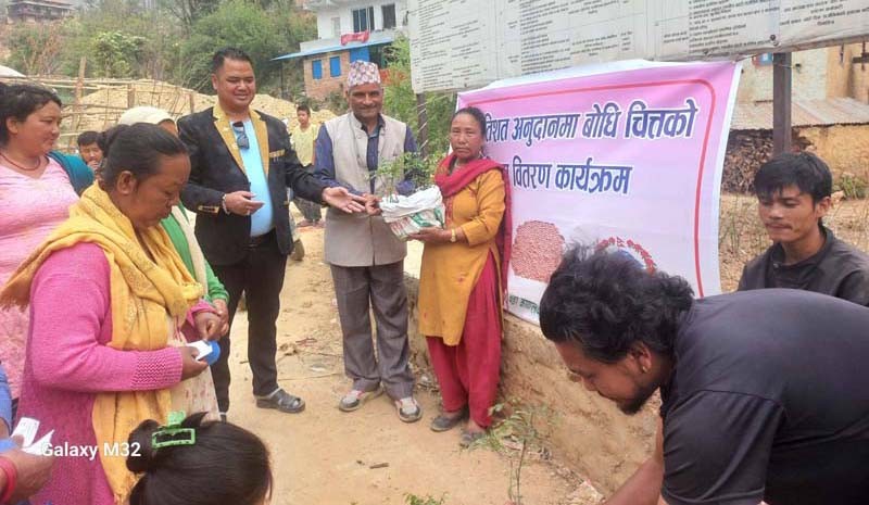 भारदेउमा बोधिचित्त खेतीमा आकर्षण, वडा कार्यालयले बाँड्यो पचास प्रतिशत अनुदानमा विरुवा
