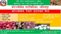 पाथीभरा मन्दिर क्षेत्रमा रैथाने हाट, कृषि र पर्यटनलाई जोड्दै कोन्ज्योसोम गाउँपालिका