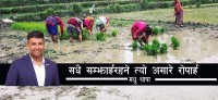 सधैं सम्झाईरहने त्यो असारे रोपाई