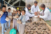 मगरगाउँका विद्यार्थी पढ्दै कमाउँदै