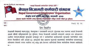 जनप्रतिनिधिबाटै कर्मचारी असुरक्षित, हातपातको विरोधमा निजामती कर्मचारी संगठन आन्दोलित