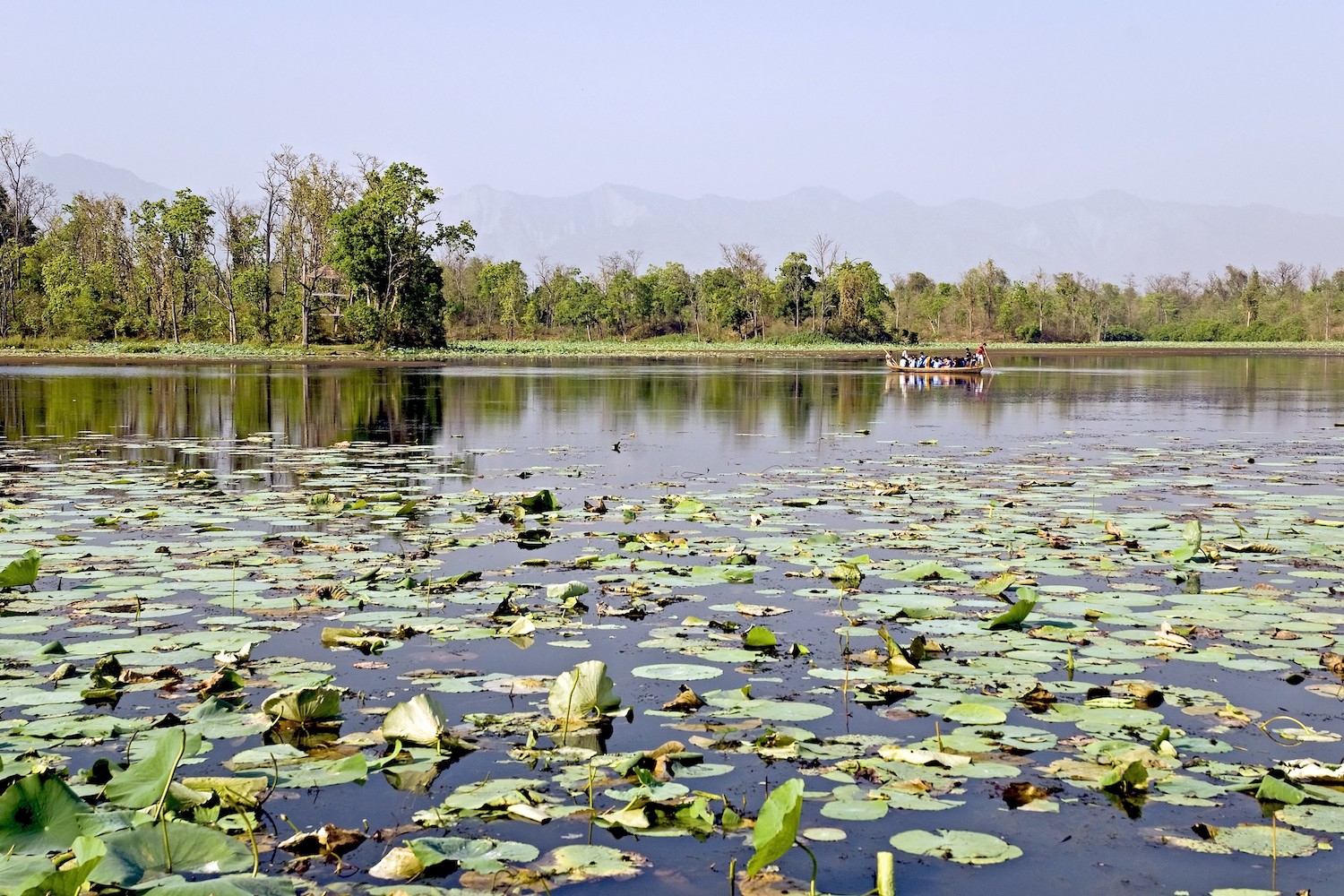 जोखिममा पर्दै सिमसार क्षेत्र